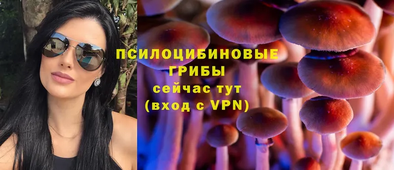 наркотики  Туймазы  Галлюциногенные грибы MAGIC MUSHROOMS 